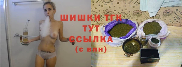 индика Нефтекумск