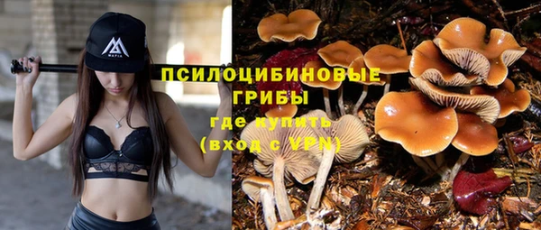 амф Алексеевка