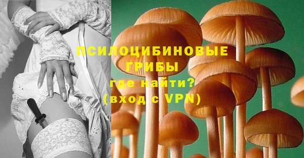 амф Алексеевка
